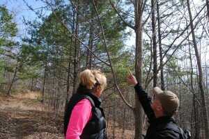 Forestry is still ‘critical part’ of eastern Kentucky’s economy